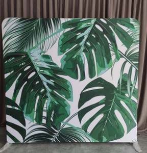 Monstera fotó háttér rendezvényre